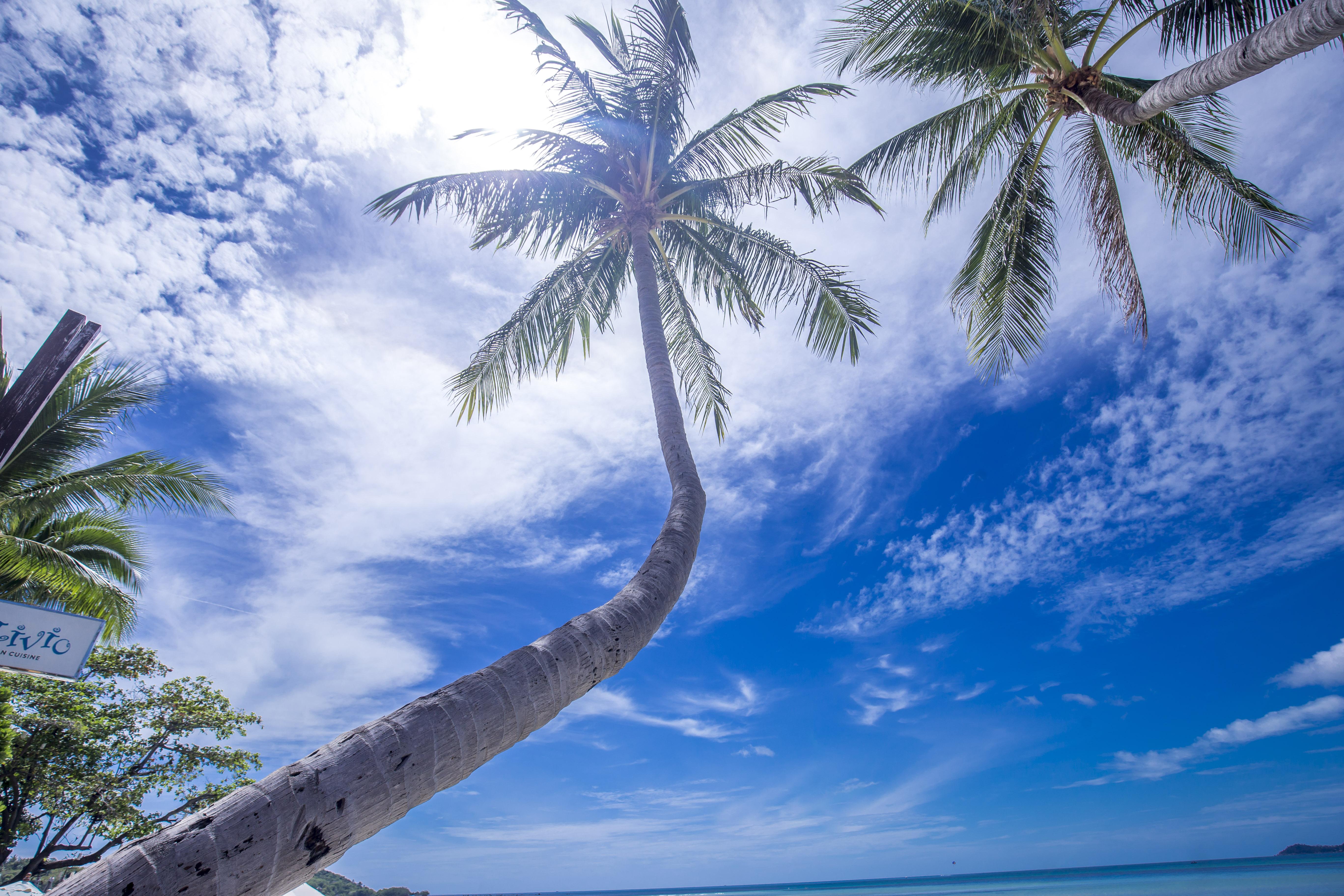 Baan Haad Ngam Boutique Resort Koh Samui Luaran gambar